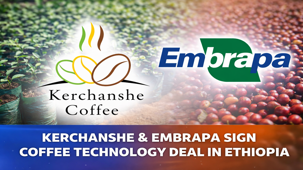 Kerchanshe Group, Brazil’s Embrapa Sign Coffee Technology Cooperation Agreement