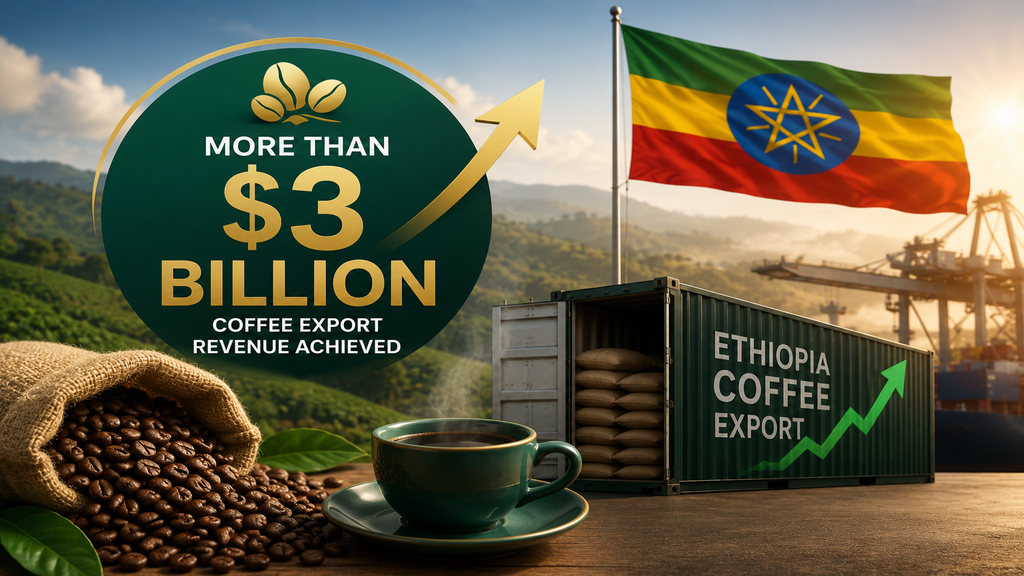 Ethiopia Exceeds USD 3bn Coffee Export Target Within Fiscal Year