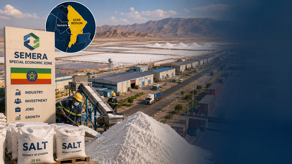 Semera SEZ Secures Four Firms as Afar Salt Cluster Expands